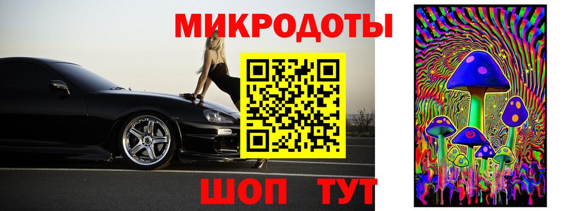 Галлюциногенные грибы Psilocybine cubensis Ликино-Дулёво
